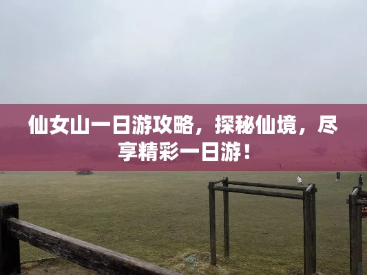 飞扬拨扈 第4页