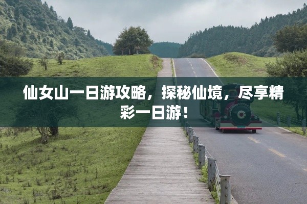 仙女山一日游攻略,探秘仙境,尽享精彩一日游!