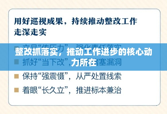 整改抓落实,推动工作进步的核心动力所在