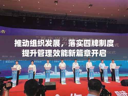 推动组织发展，落实四牌制度提升管理效能新篇章开启