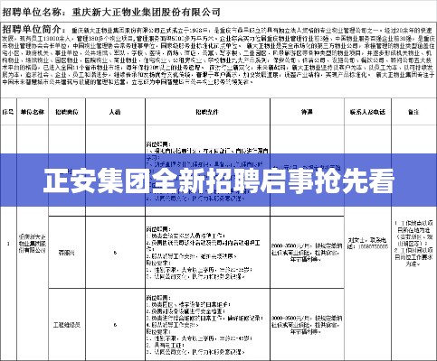 正安集团全新招聘启事抢先看