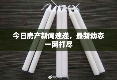 今日房产新闻速递,最新动态一网打尽