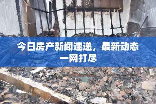 今日房产新闻速递,最新动态一网打尽