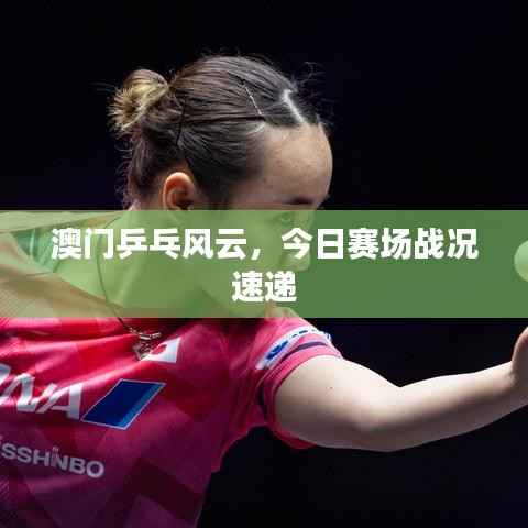 澳门乒乓风云，今日赛场战况速递