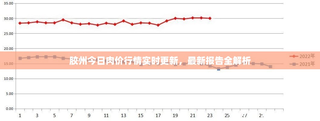 胶州今日肉价行情实时更新，最新报告全解析