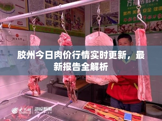 胶州今日肉价行情实时更新,最新报告全解析