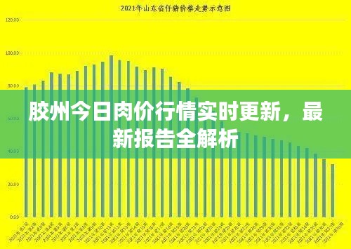 胶州今日肉价行情实时更新,最新报告全解析
