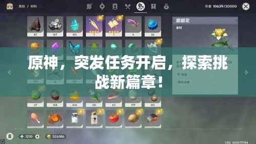 原神，突发任务开启，探索挑战新篇章！