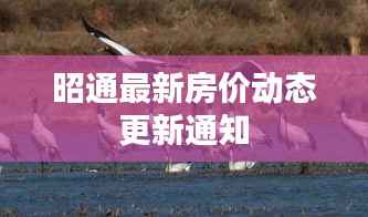 昭通最新房价动态更新通知