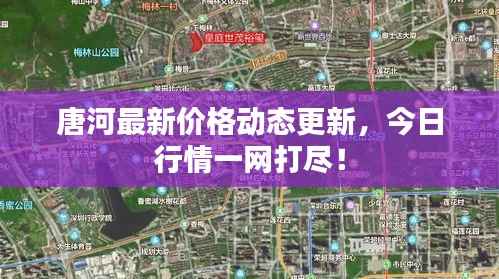 唐河最新价格动态更新，今日行情一网打尽！