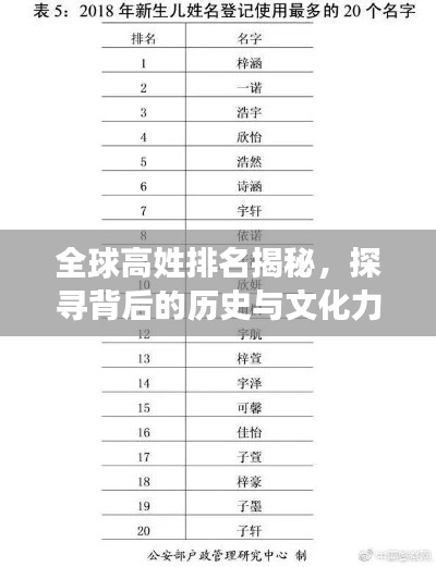 披肝沥胆 第4页