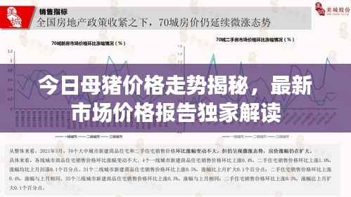 今日母猪价格走势揭秘，最新市场价格报告独家解读