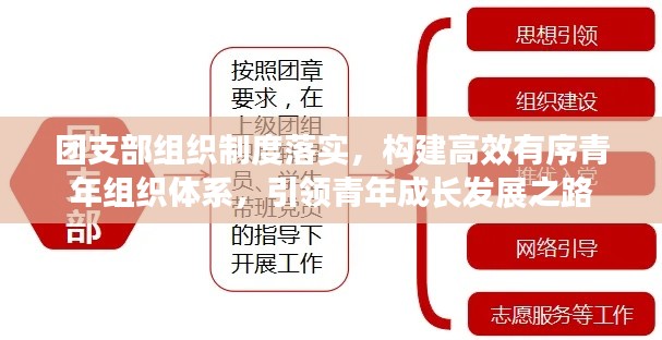 团支部组织制度落实，构建高效有序青年组织体系，引领青年成长发展之路