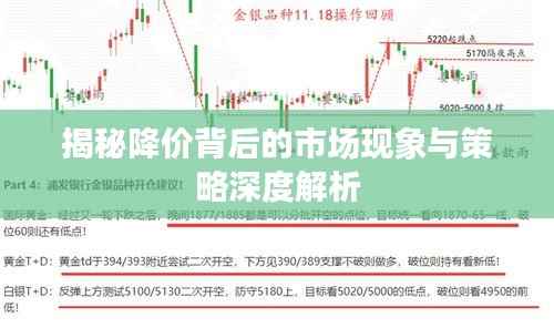 揭秘降价背后的市场现象与策略深度解析