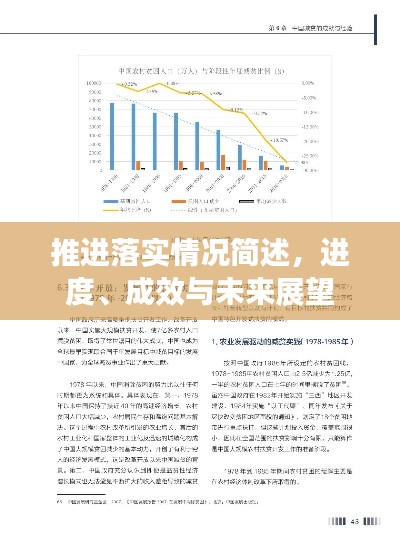 推进落实情况简述，进度、成效与未来展望