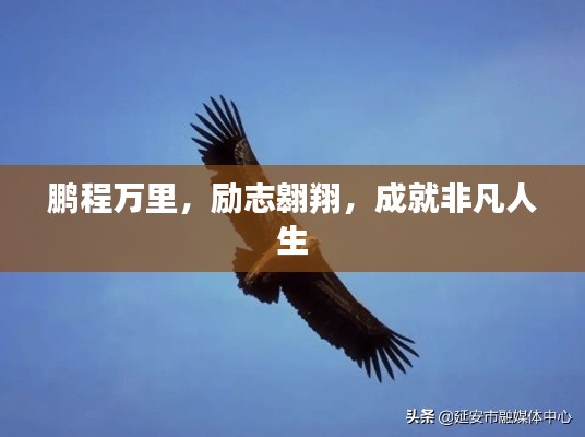 竭尽全力 第4页