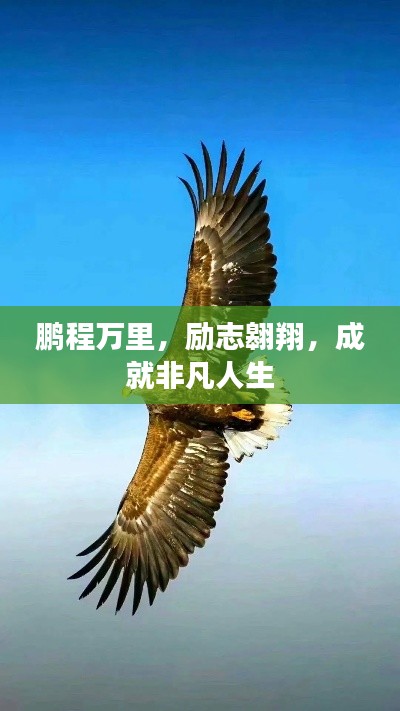 鹏程万里,励志翱翔,成就非凡人生