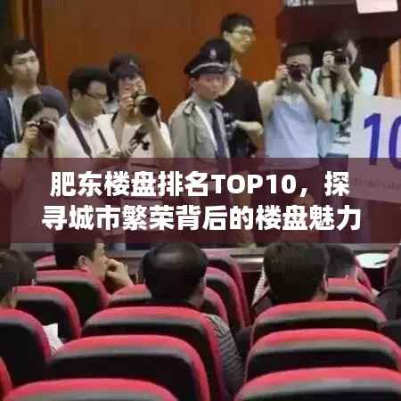 肥东楼盘排名TOP10,探寻城市繁荣背后的楼盘魅力