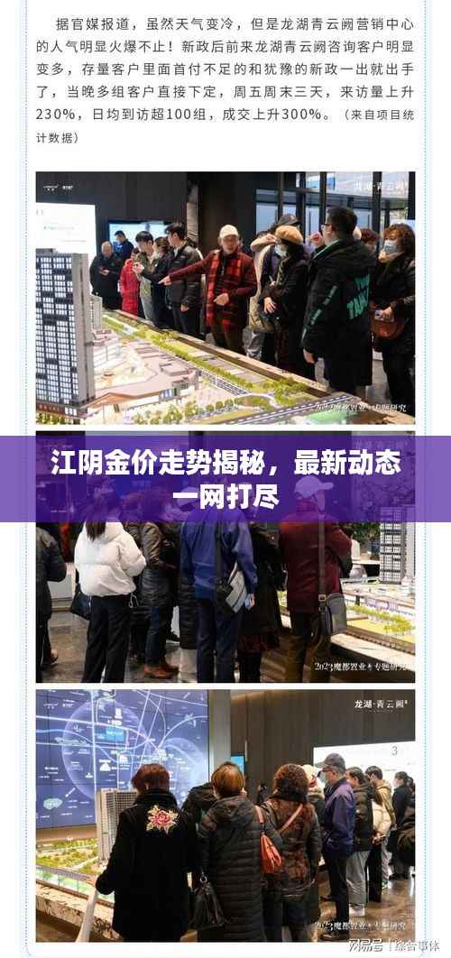 江阴金价走势揭秘，最新动态一网打尽