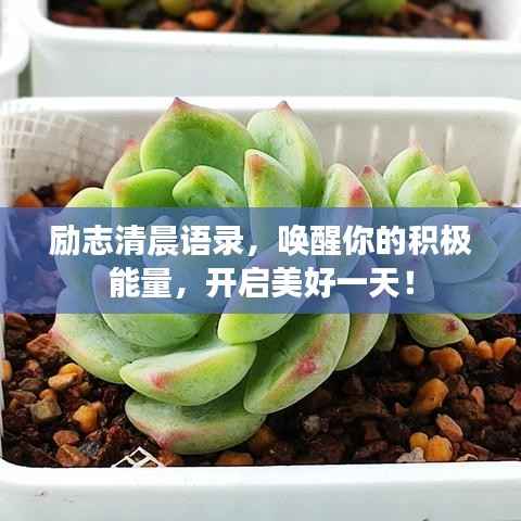 励志清晨语录，唤醒你的积极能量，开启美好一天！