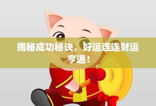 揭秘成功秘诀,好运连连财运亨通!
