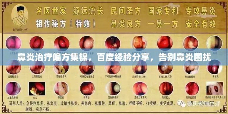 鼻炎治疗偏方集锦,百度经验分享,告别鼻炎困扰