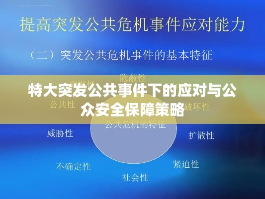 特大突发公共事件下的应对与公众安全保障策略