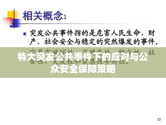 特大突发公共事件下的应对与公众安全保障策略