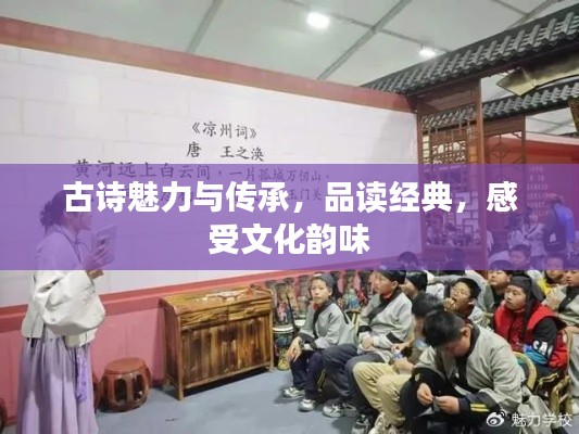 古诗魅力与传承，品读经典，感受文化韵味