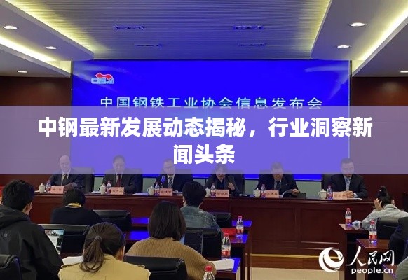 中钢最新发展动态揭秘，行业洞察新闻头条