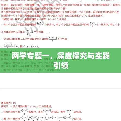 两学专题一，深度探究与实践引领