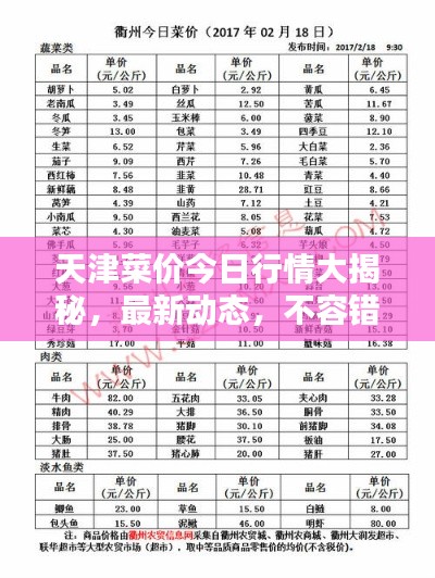 天津菜价今日行情大揭秘，最新动态，不容错过！