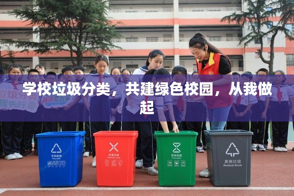 学校垃圾分类，共建绿色校园，从我做起