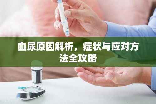 血尿原因解析，症状与应对方法全攻略