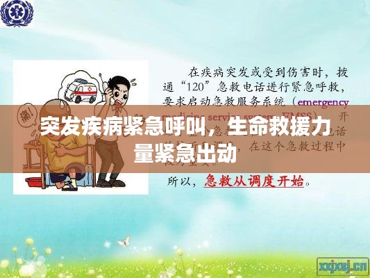 突发疾病紧急呼叫，生命救援力量紧急出动