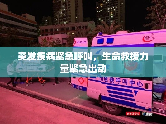 突发疾病紧急呼叫,生命救援力量紧急出动
