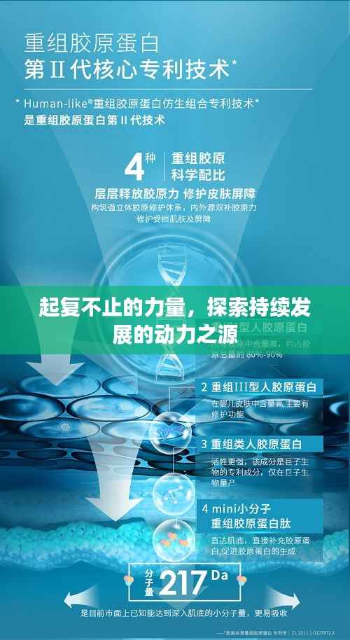 起复不止的力量，探索持续发展的动力之源