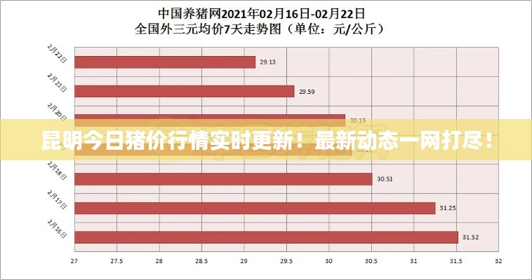 昆明今日猪价行情实时更新！最新动态一网打尽！