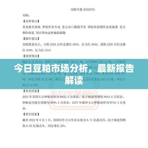 今日豆粕市场分析，最新报告解读