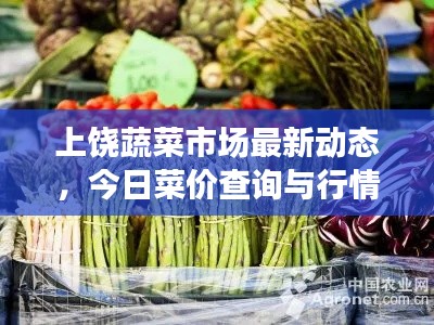 上饶蔬菜市场最新动态，今日菜价查询与行情分析