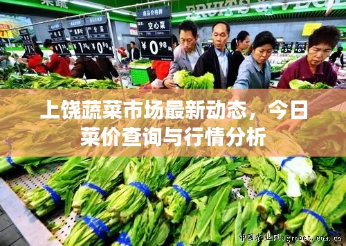 上饶蔬菜市场最新动态,今日菜价查询与行情分析