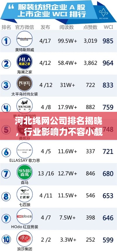 河北绳网公司排名揭晓，行业影响力不容小觑