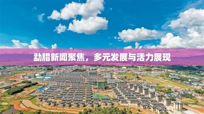 勐腊新闻聚焦，多元发展与活力展现