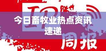 今日畜牧业热点资讯速递