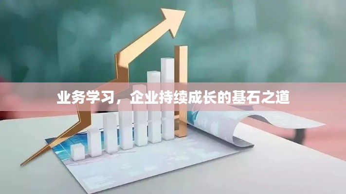 业务学习，企业持续成长的基石之道