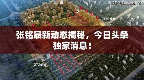 张铭最新动态揭秘，今日头条独家消息！