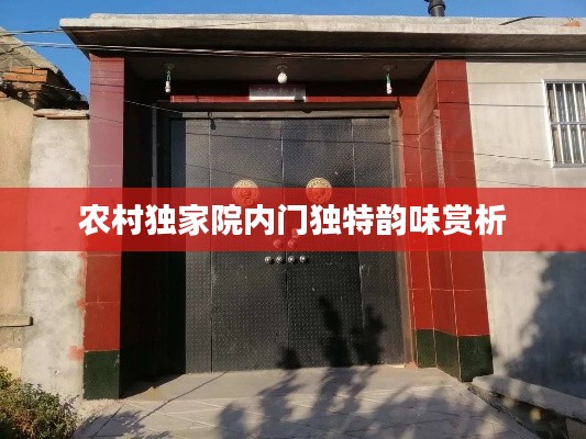 农村独家院内门独特韵味赏析