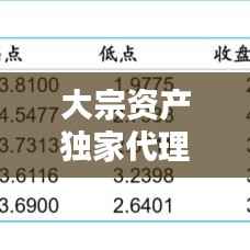 大宗资产独家代理，引领资产管理新时代的策略优势揭秘
