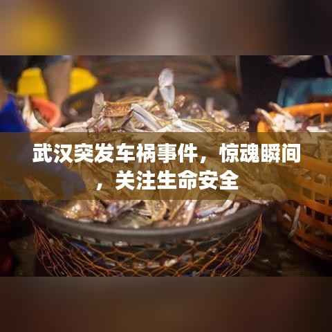 武汉突发车祸事件,惊魂瞬间,关注生命安全
