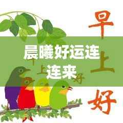 晨曦好运连连来